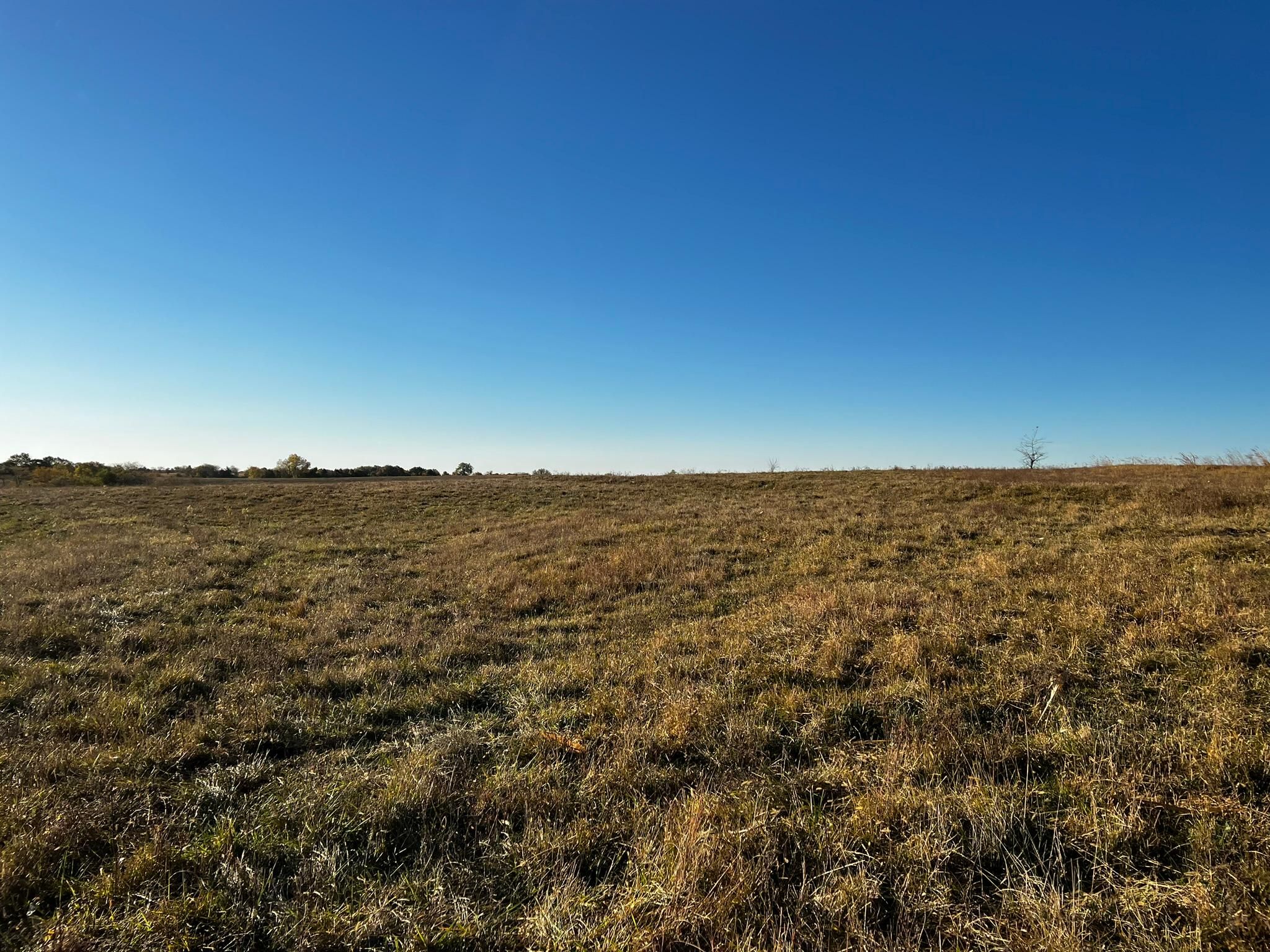 5 acres in Winston, MO, 64689 MLS 11115035