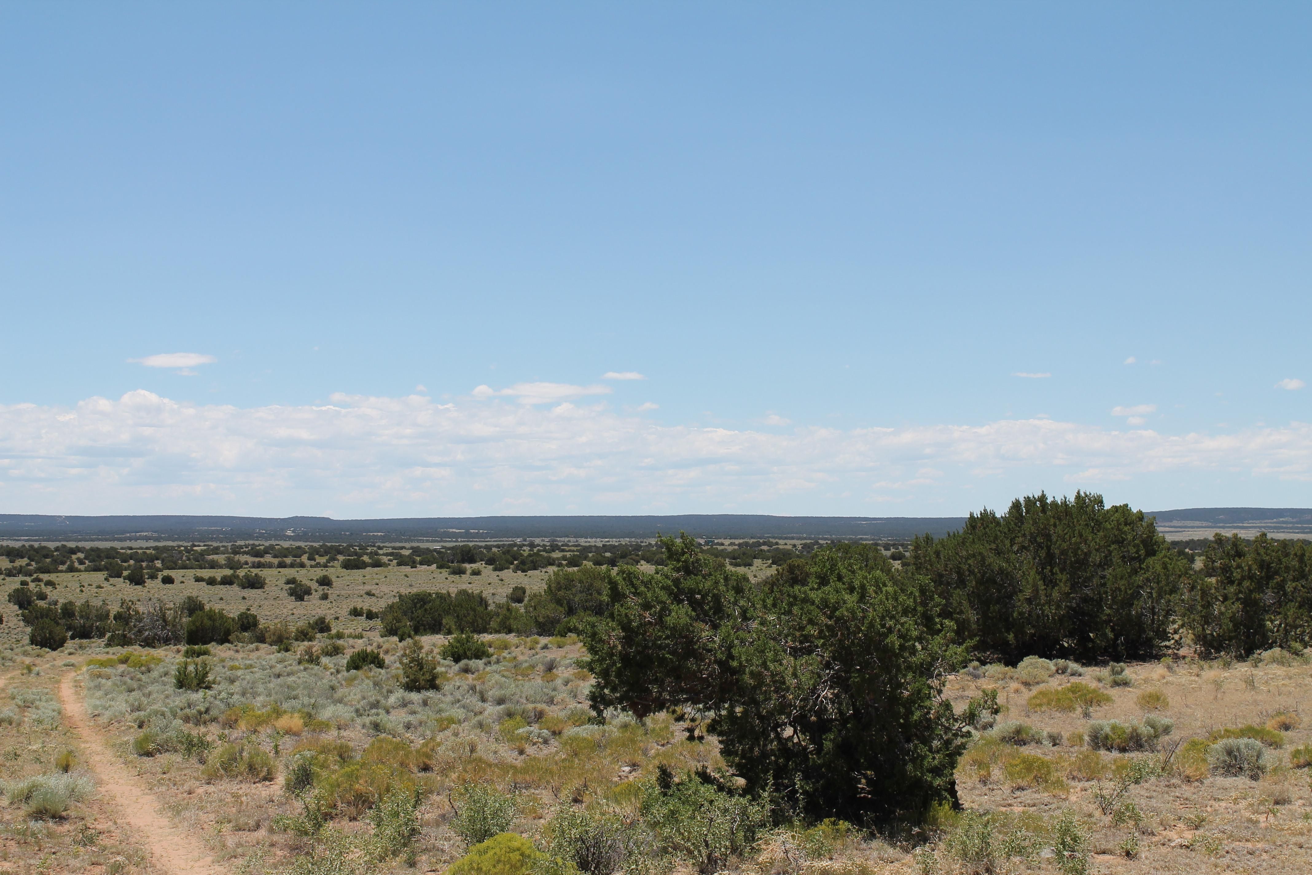 720 acres in Cibola County, New Mexico