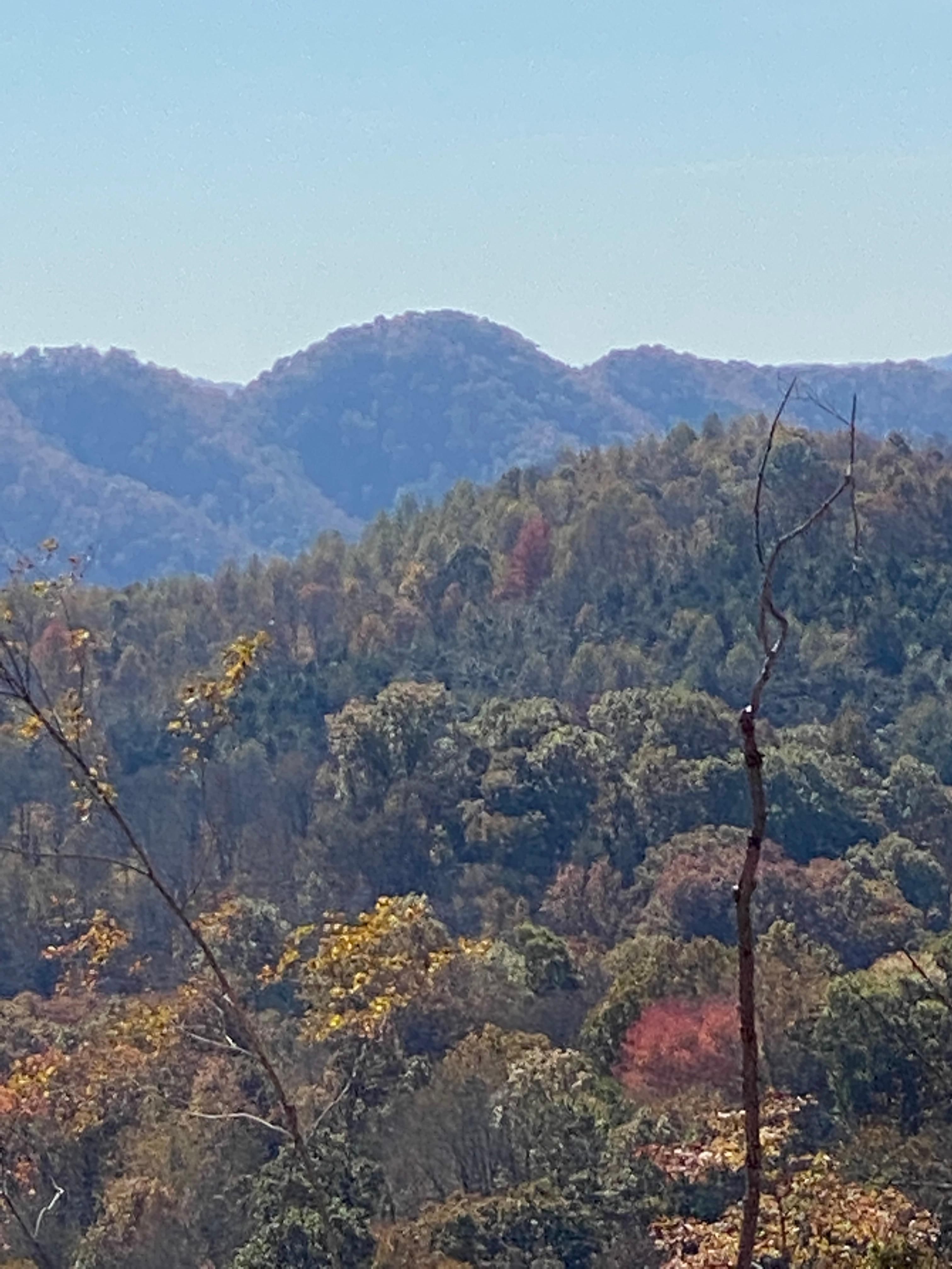 44 acres in Scott County, Virginia