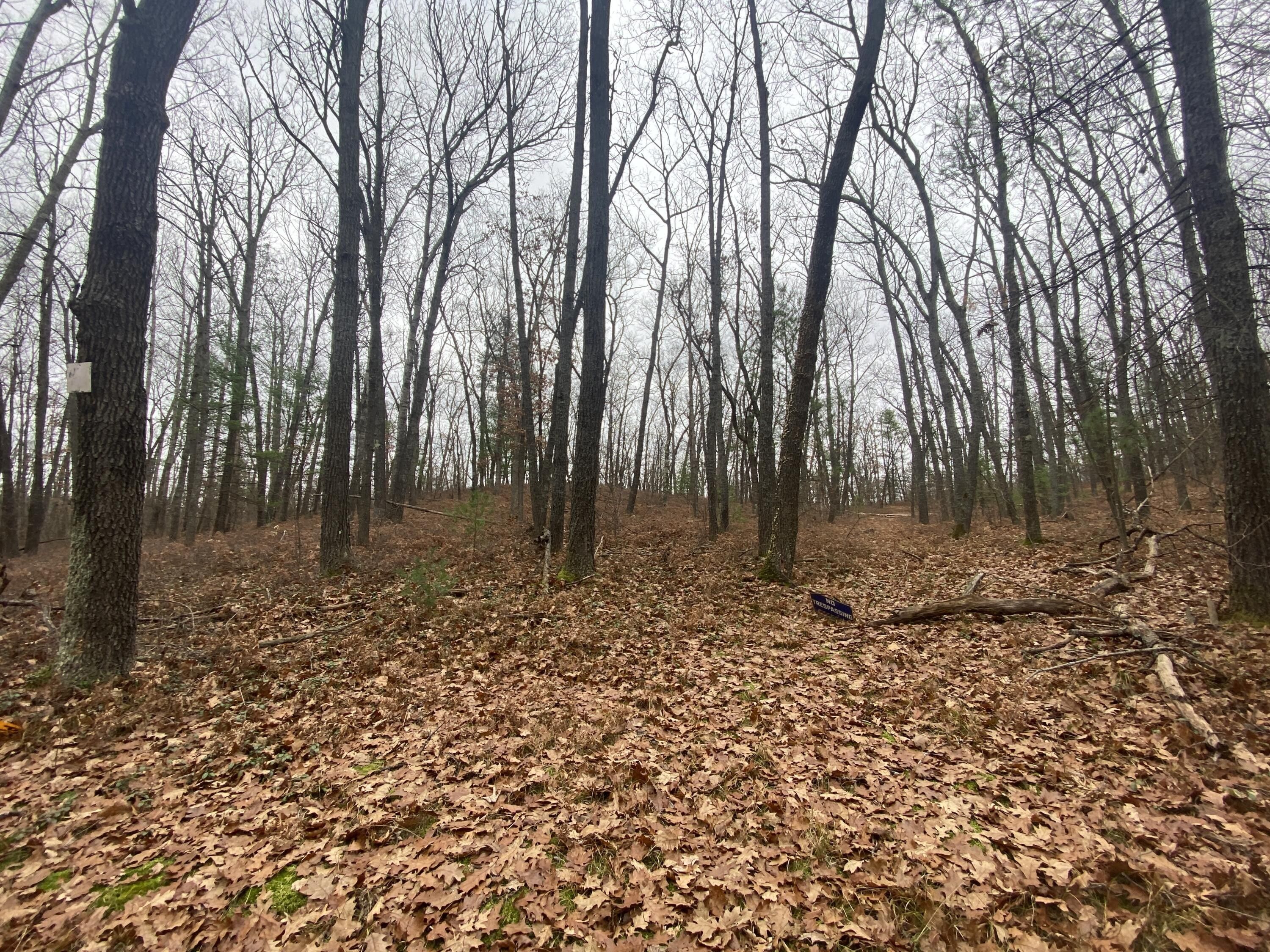 31.25 acres in County, Michigan