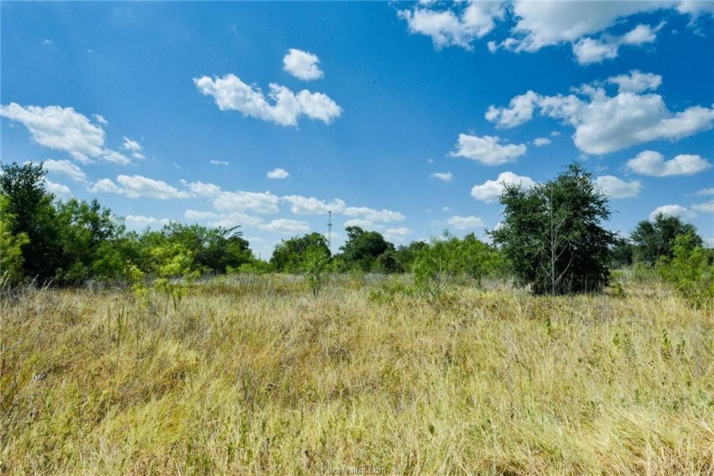 21.45 acres in Burleson County, Texas