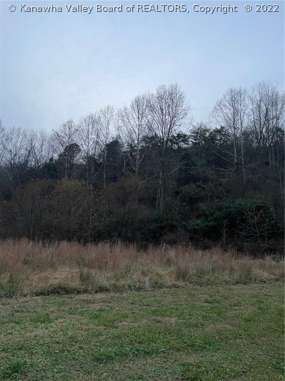 81 acres in Lincoln County, West Virginia