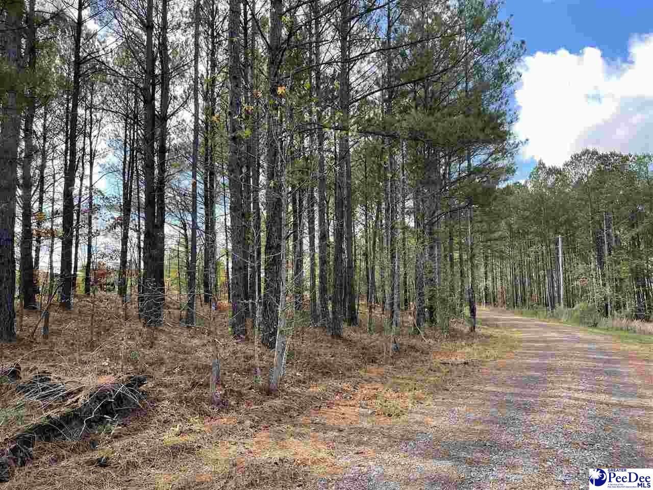 1.43 acres in Marlboro County, South Carolina