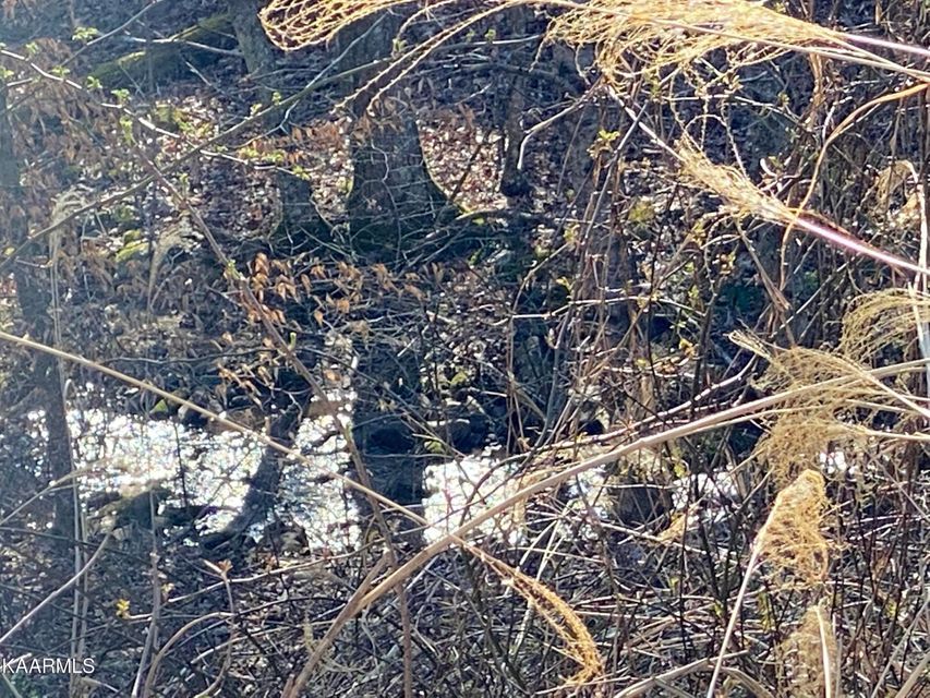 17 acres in Lee County, Virginia