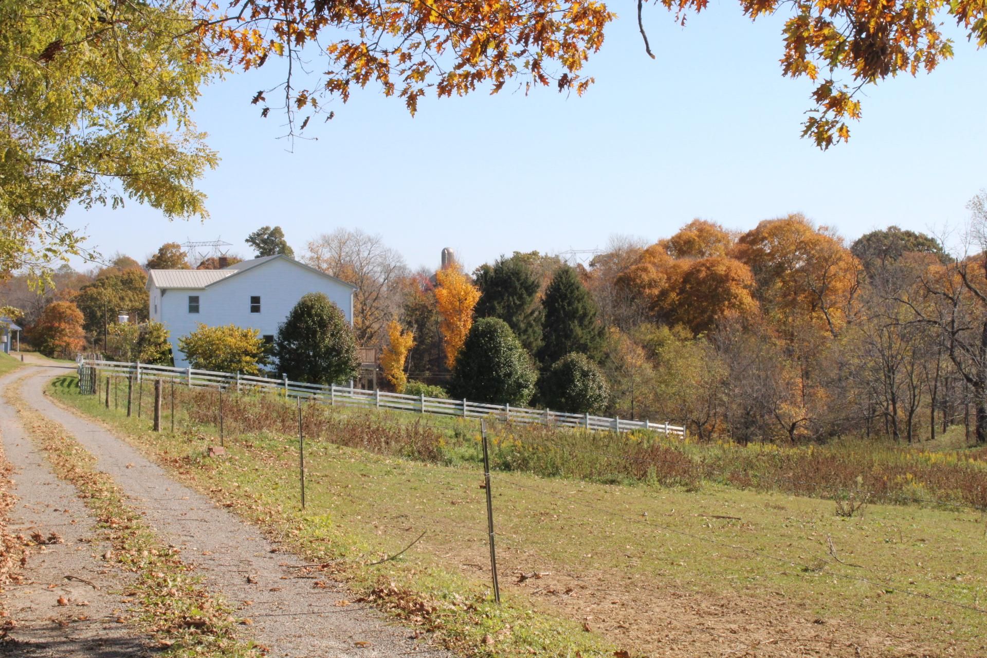 24.7 acres in Carroll County, Ohio