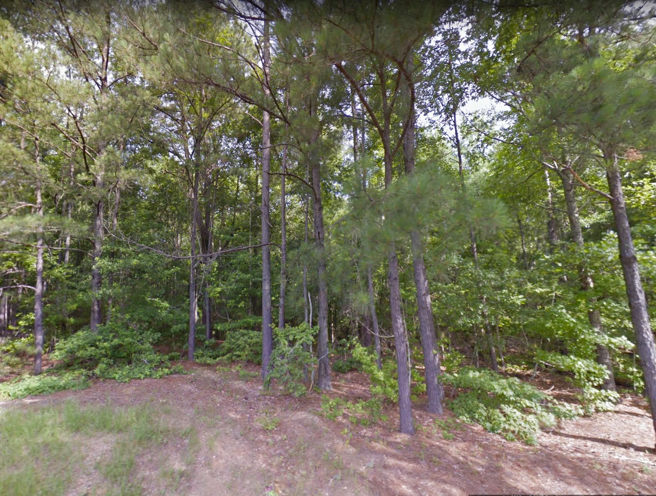 3.04 acres in Elmore County, Alabama