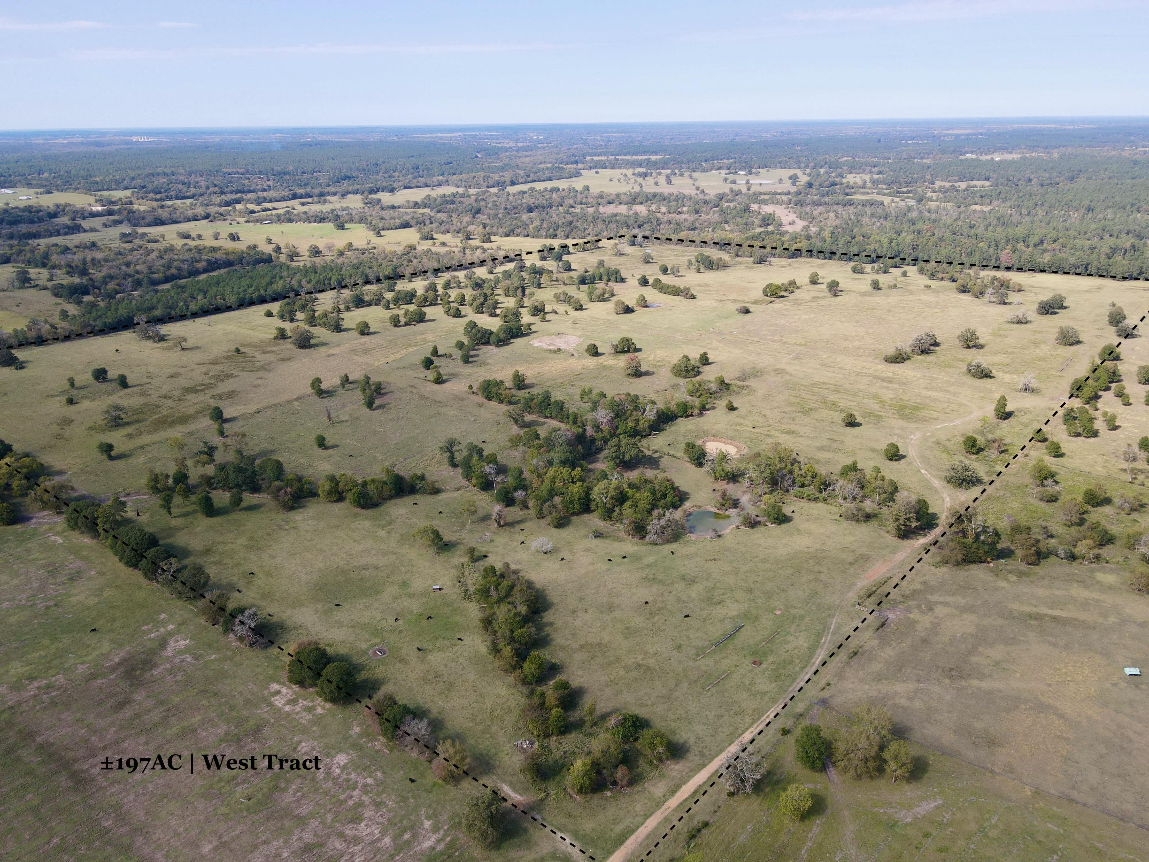 197 acres in Grimes County, Texas