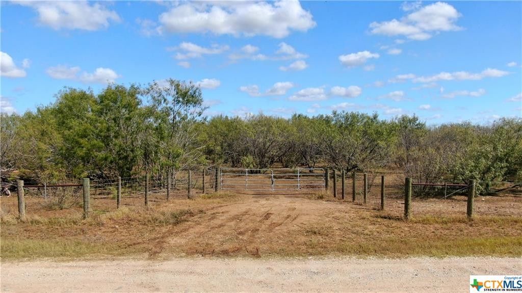 12 acres in Wilson County, Texas