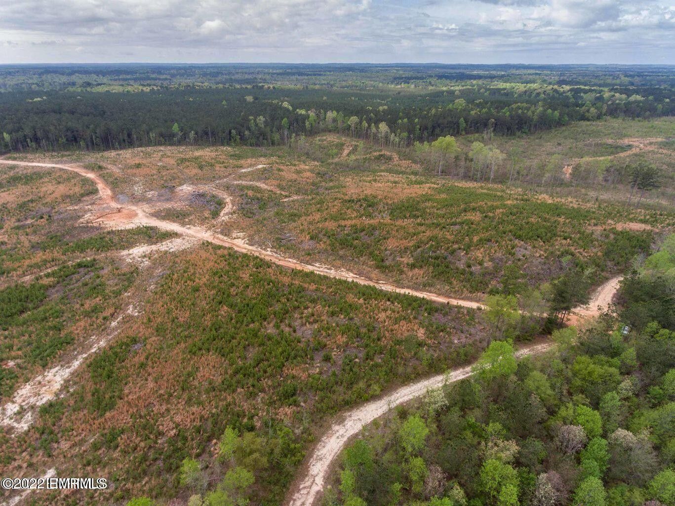 36 acres in Newton County, Mississippi