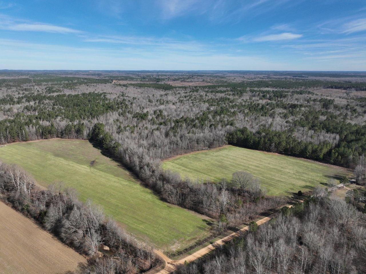 141 acres in Webster County, Mississippi