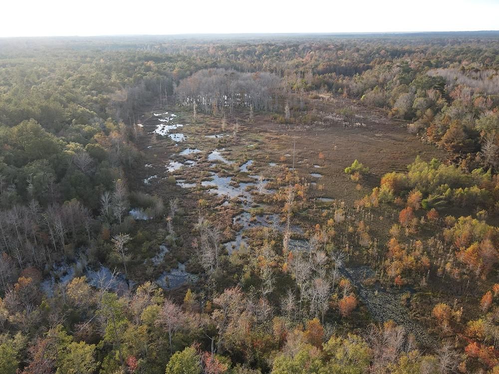 136 acres in Greene County, Mississippi