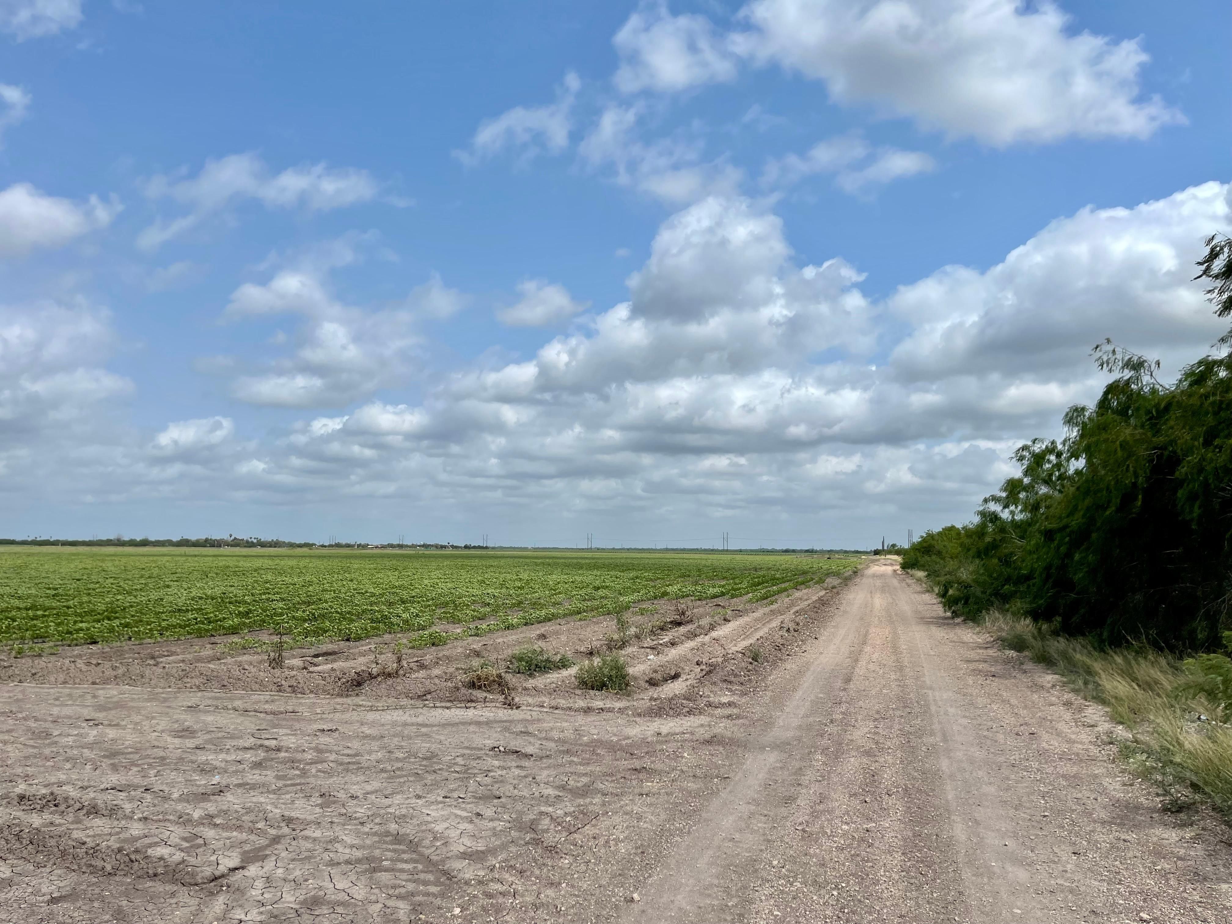 25.09 acres in Hidalgo County, Texas