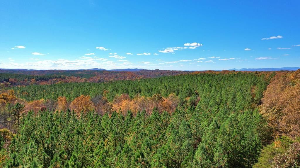 23.62 acres in Appomattox County, Virginia