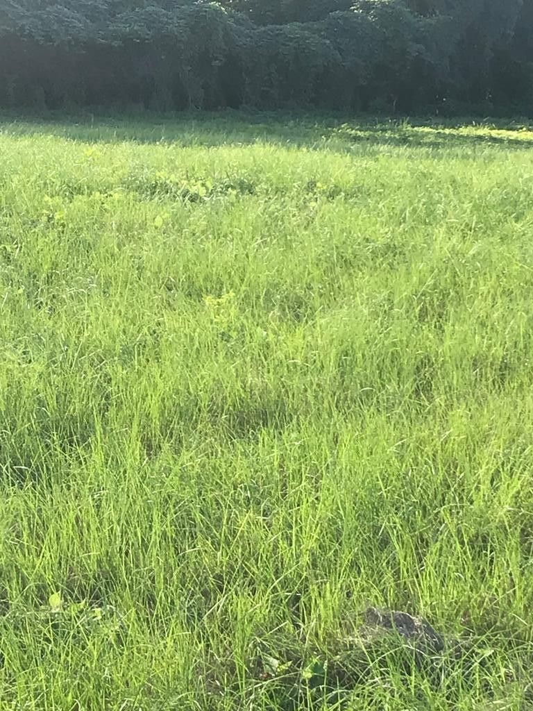 1 acres in Pike County, Alabama