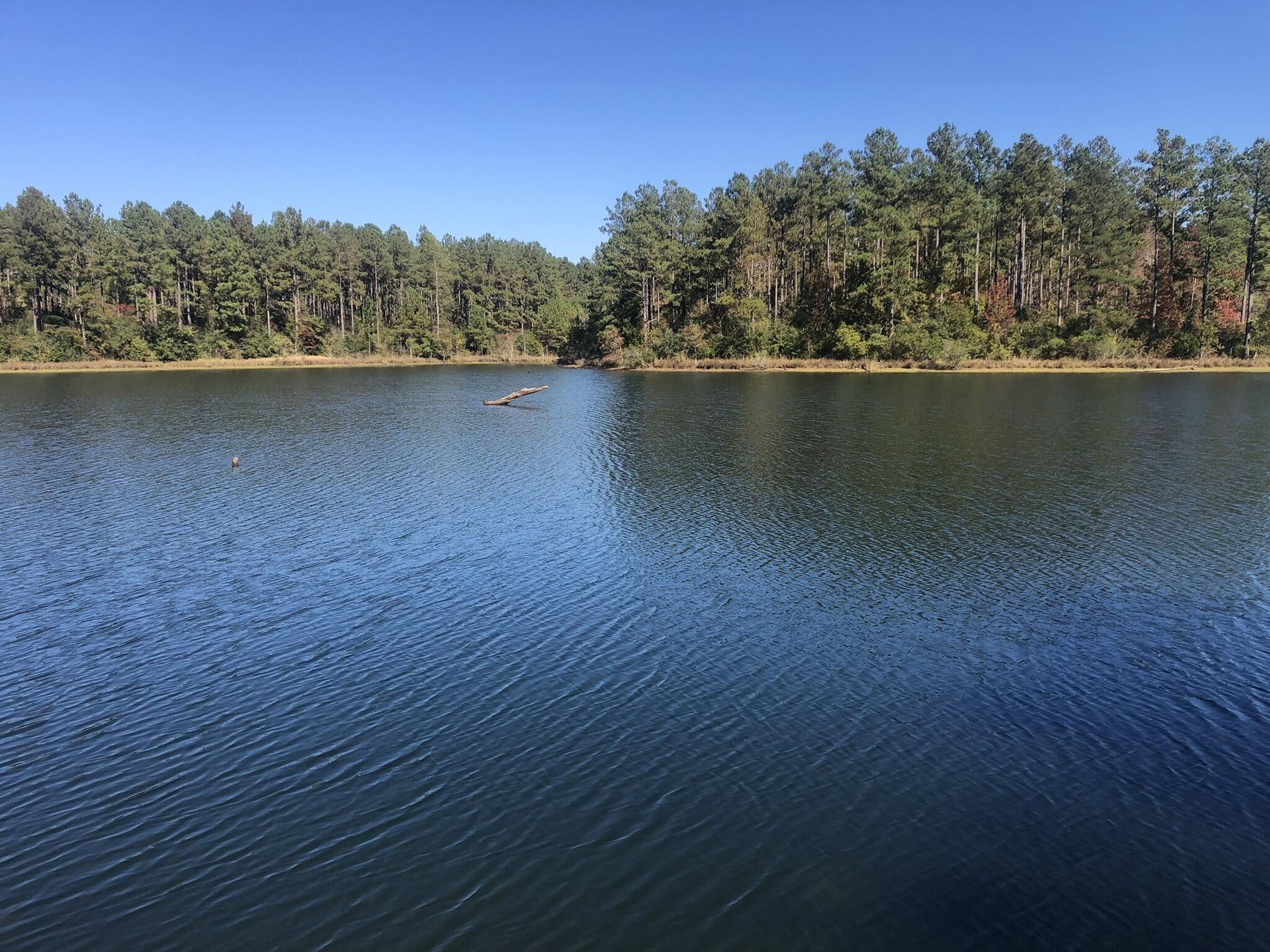 10 acres in Lamar County, Mississippi