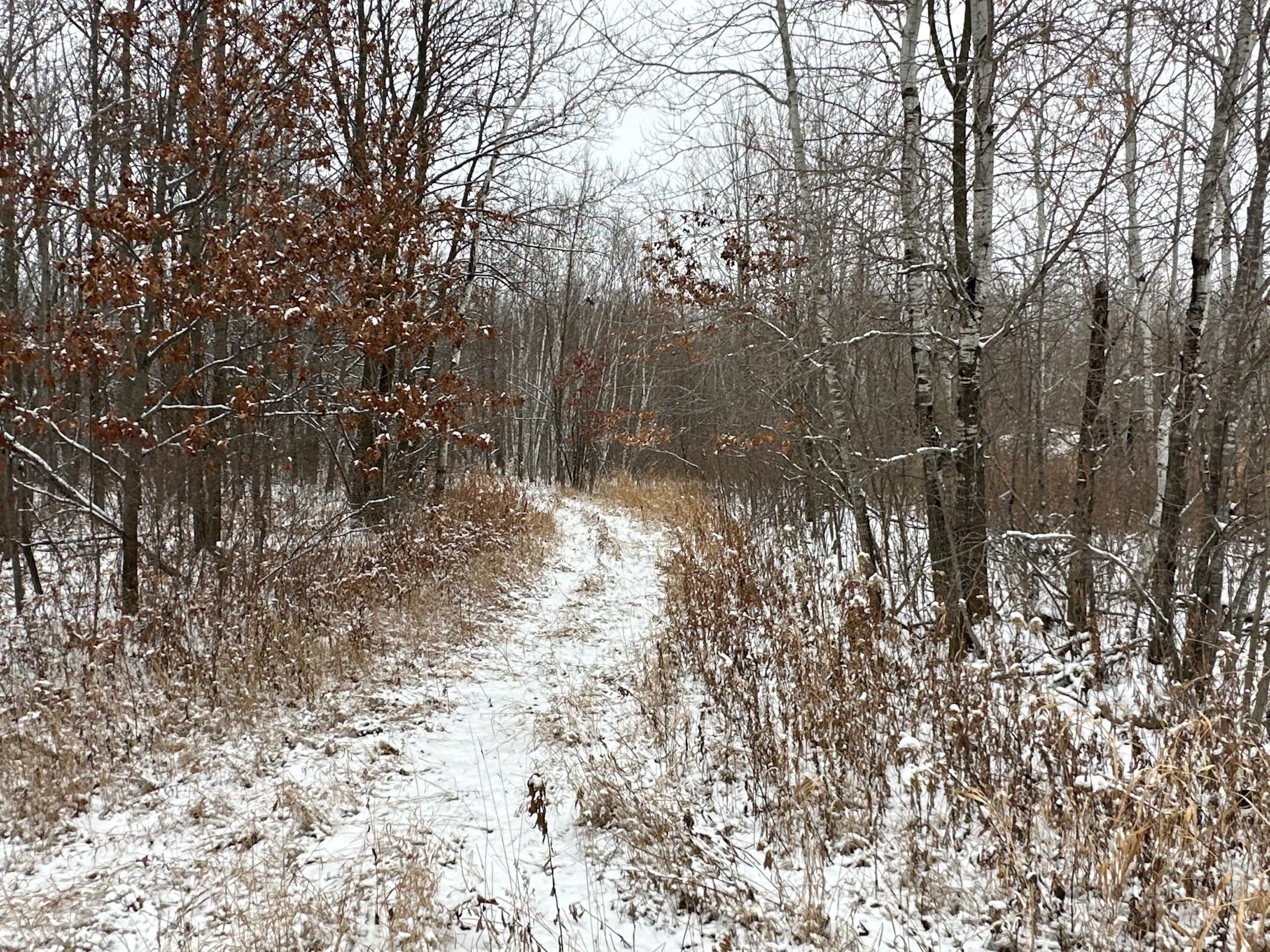 160 acres in Morrison County, Minnesota