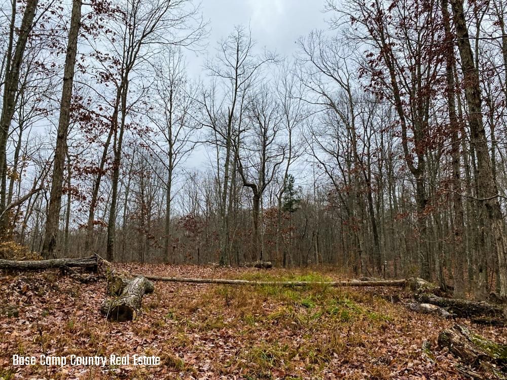 40 acres in Rockcastle County, Kentucky