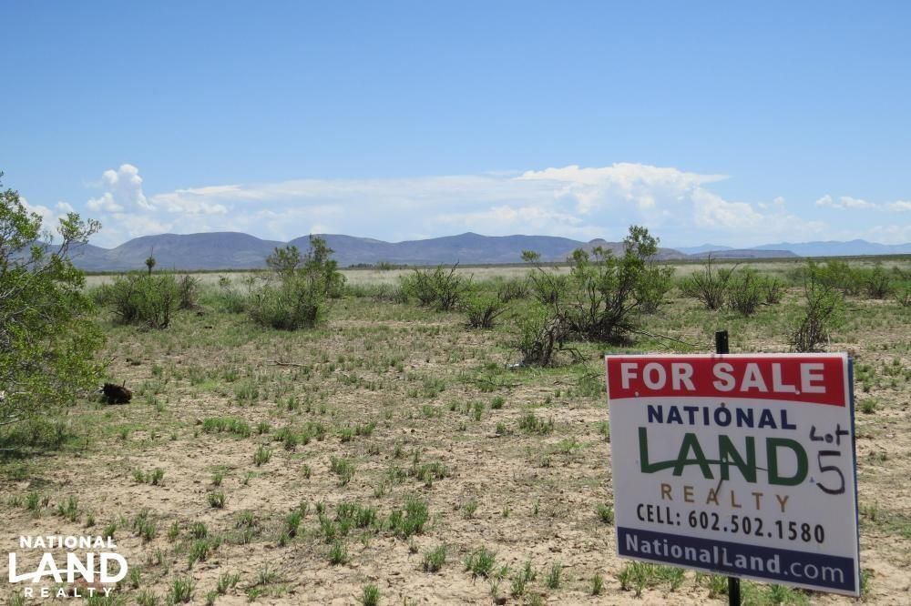 80 acres in Hidalgo County, New Mexico