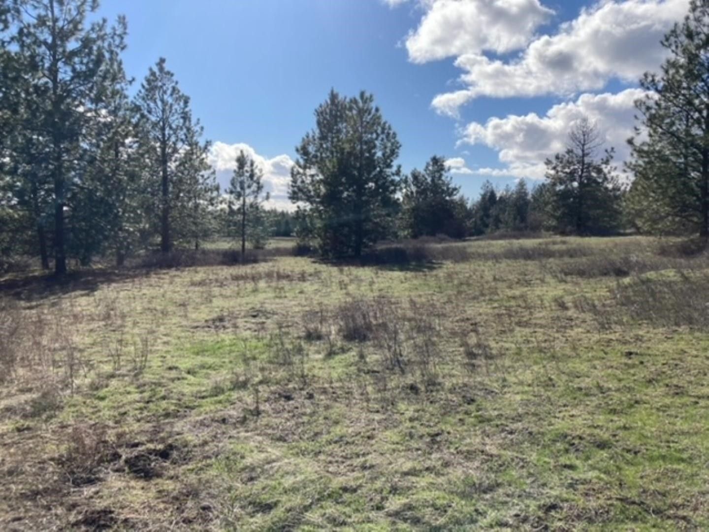 35 acres in Stevens County, Washington