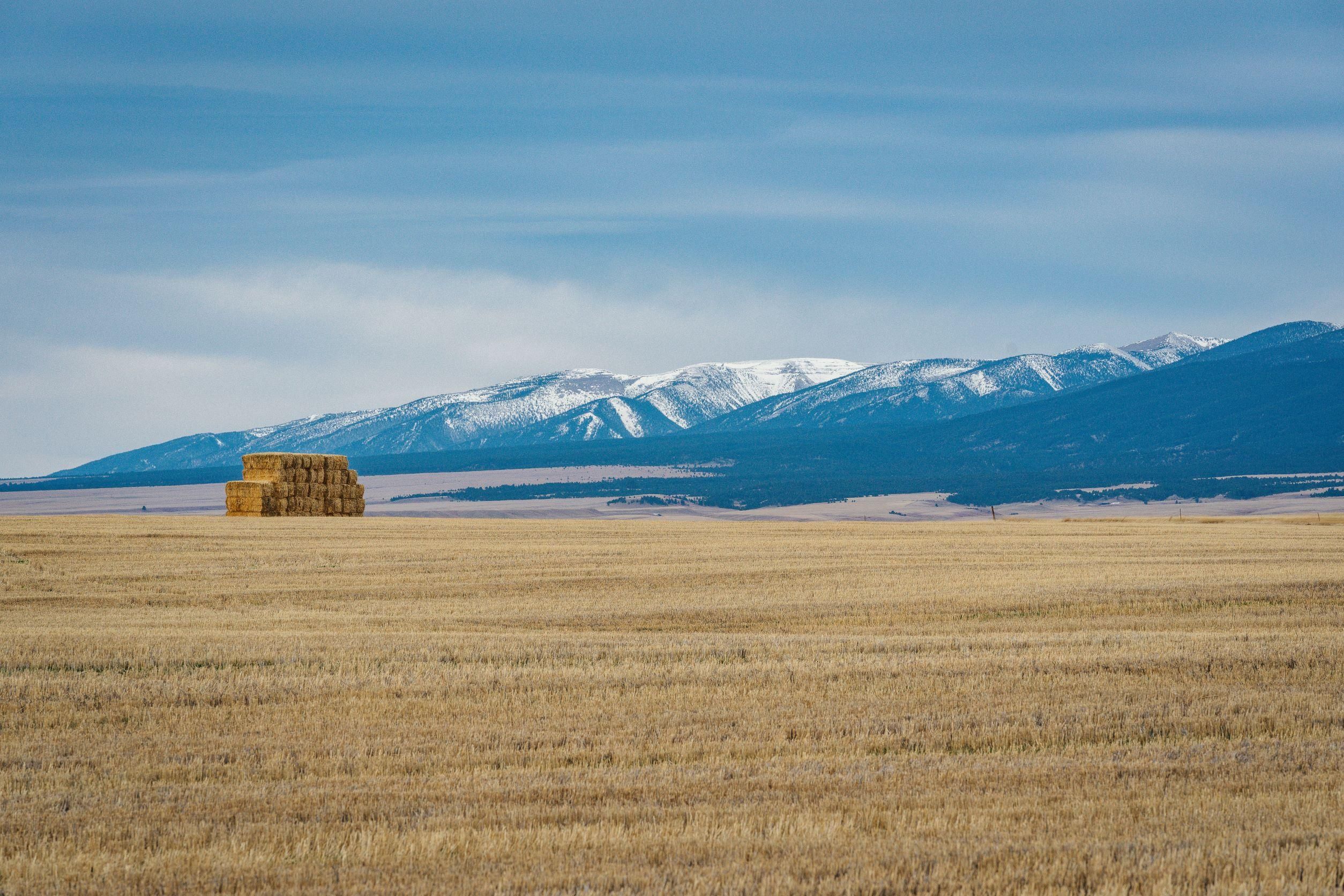 1,480 acres in Golden Valley County, Montana