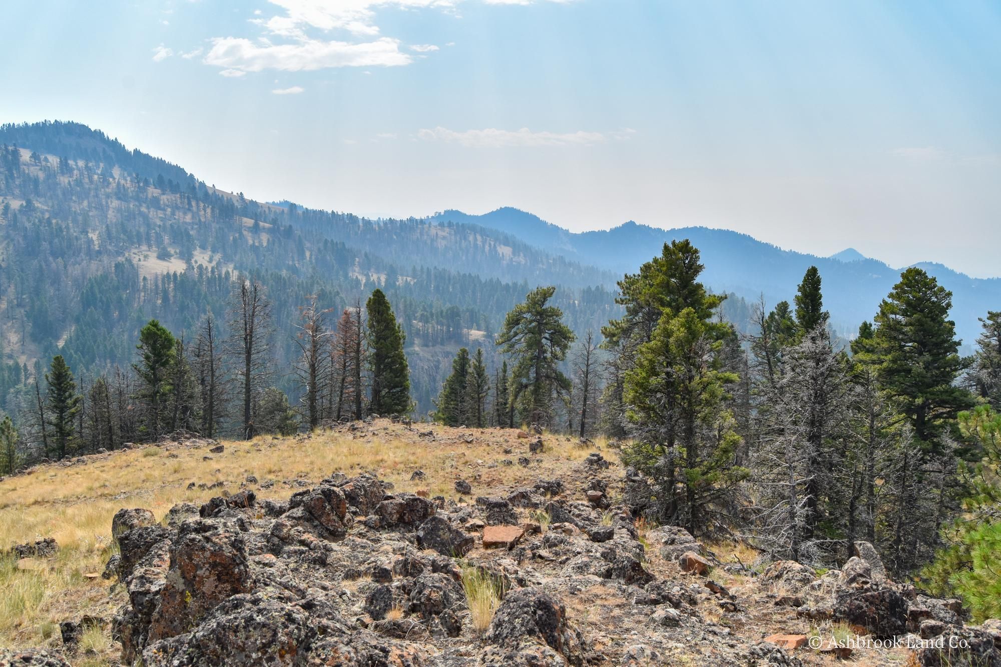 40 acres in Cascade County, Montana