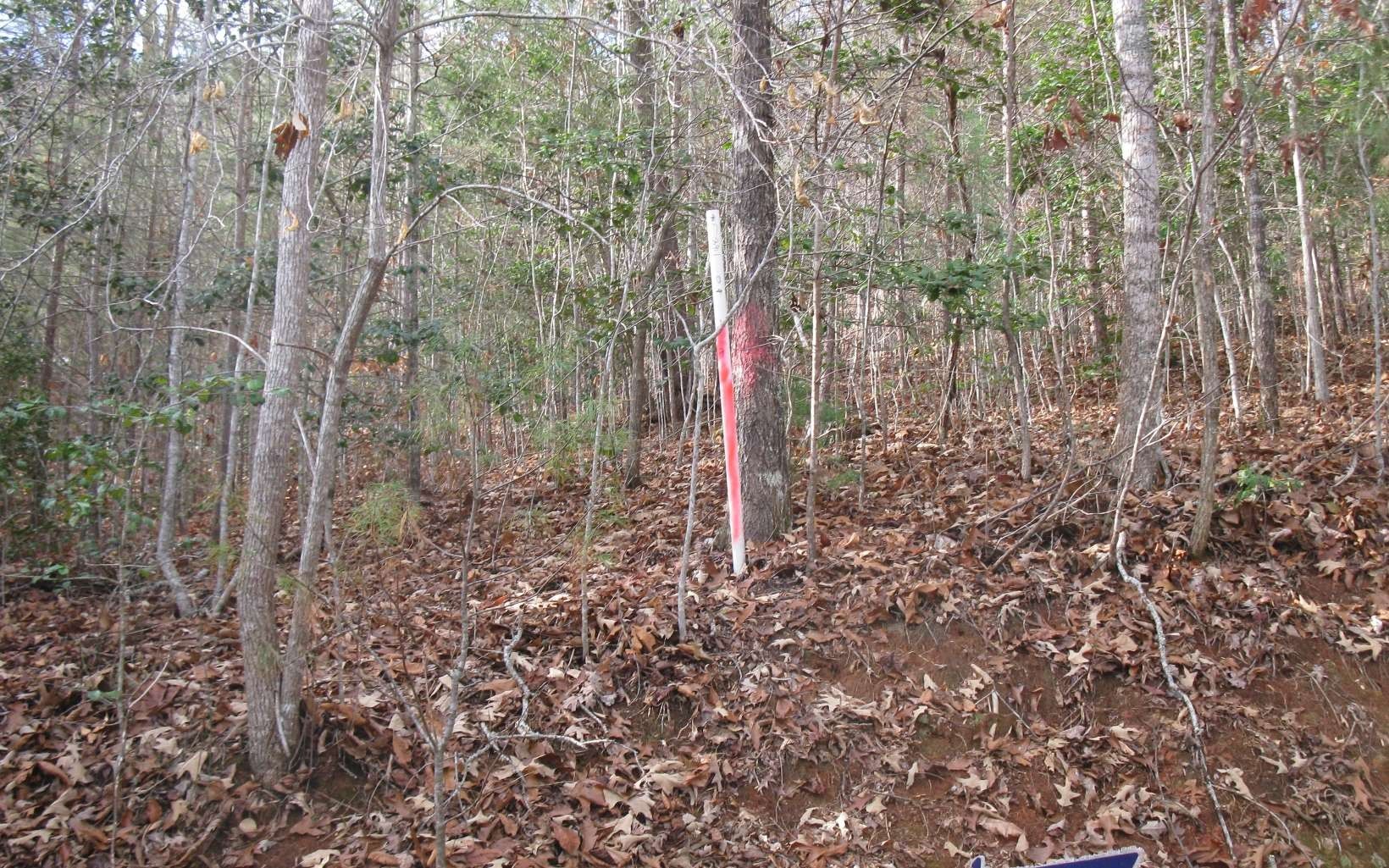 1 acres in Clay County, North Carolina