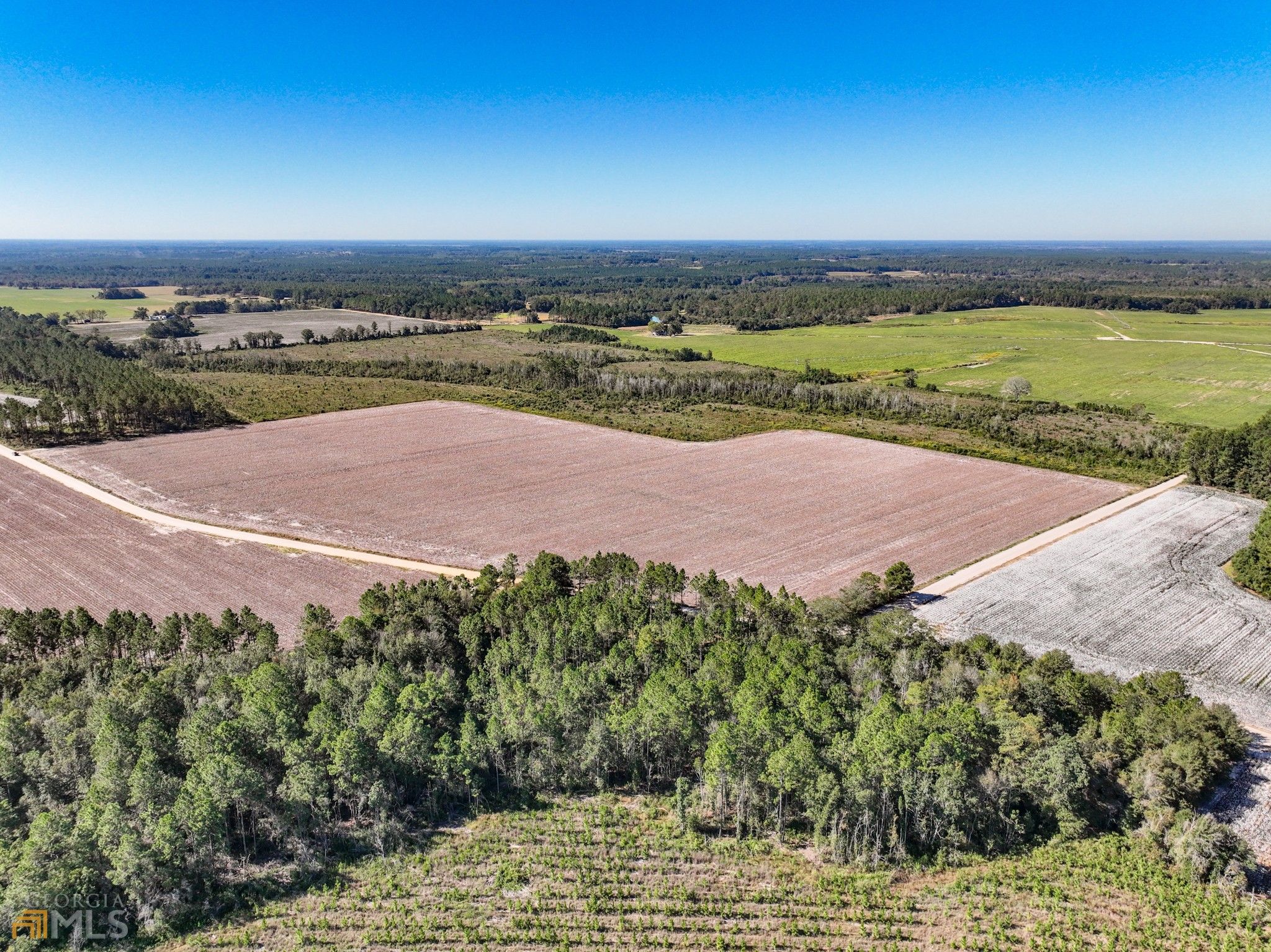 119 acres in Jeff Davis County,