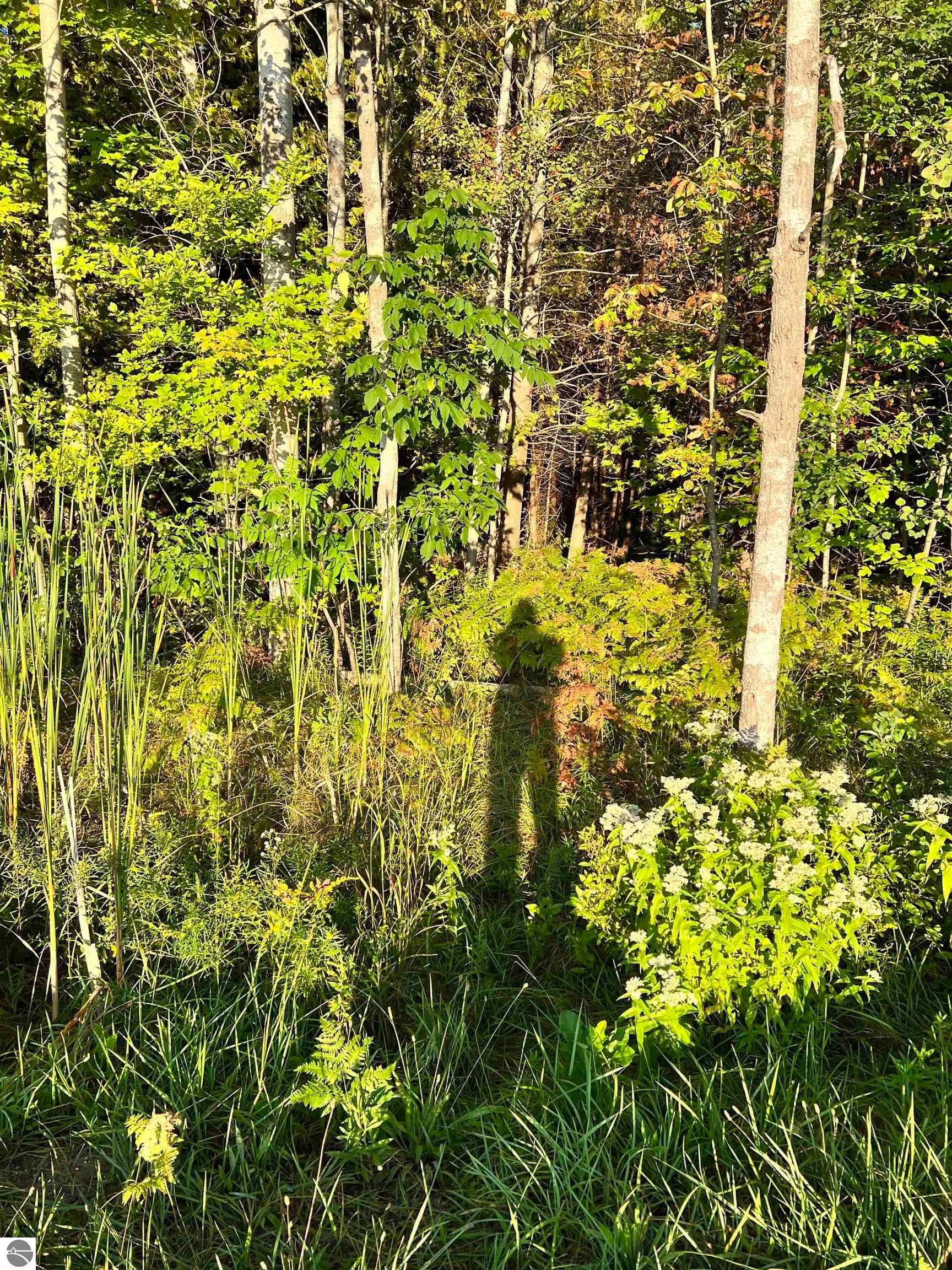 26 acres in Benzie County, Michigan