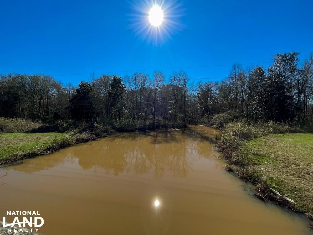 44 acres in Pike County, Alabama