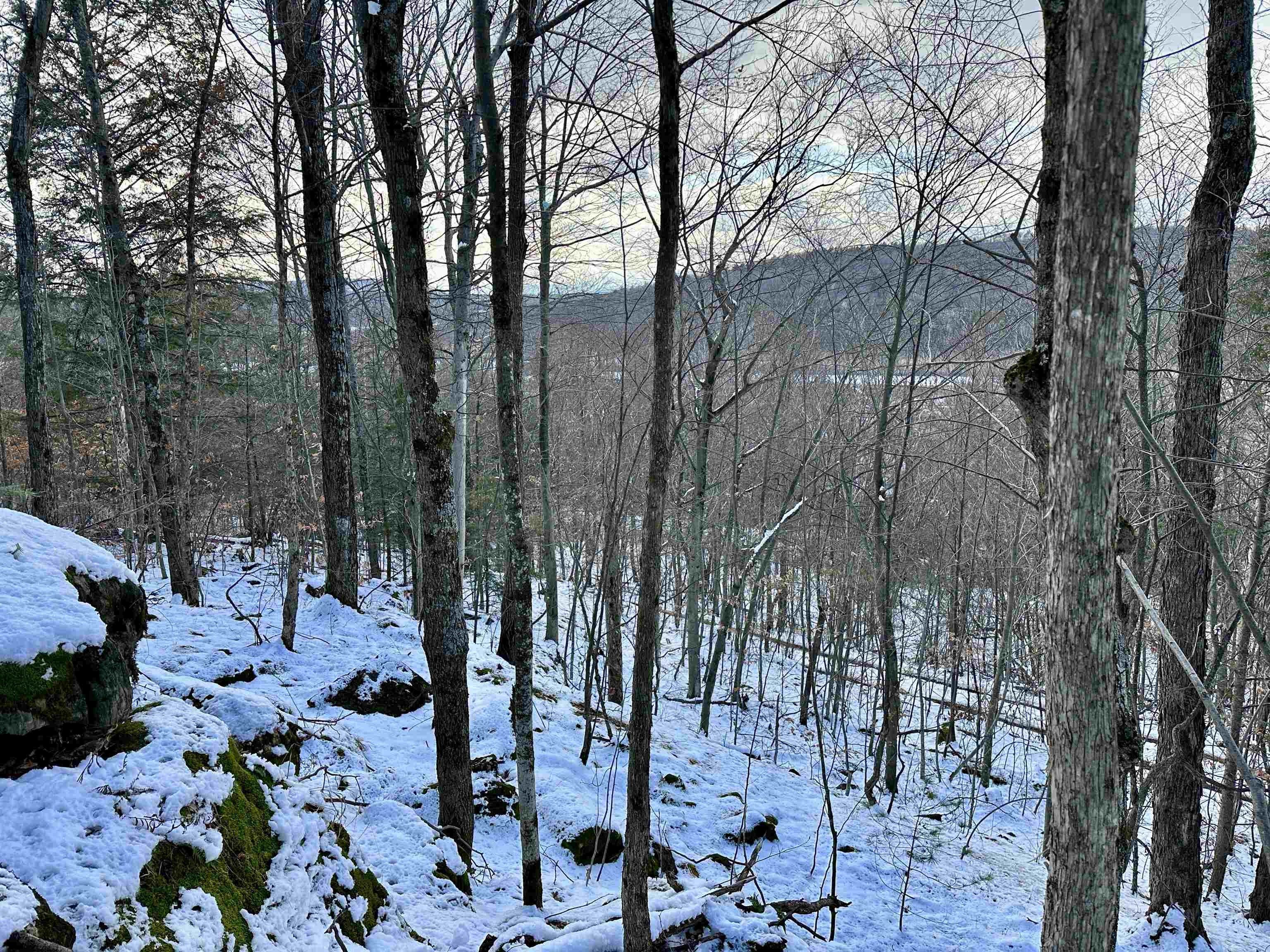 10.2 acres in Addison County, Vermont