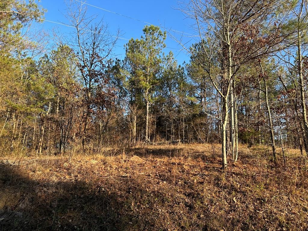 10 acres in Bradley County, Tennessee