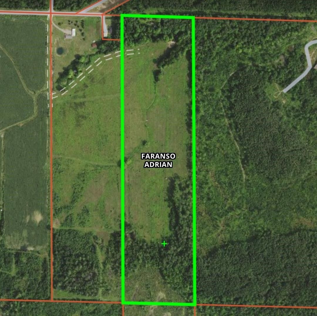 40 acres in Gladwin County, Michigan