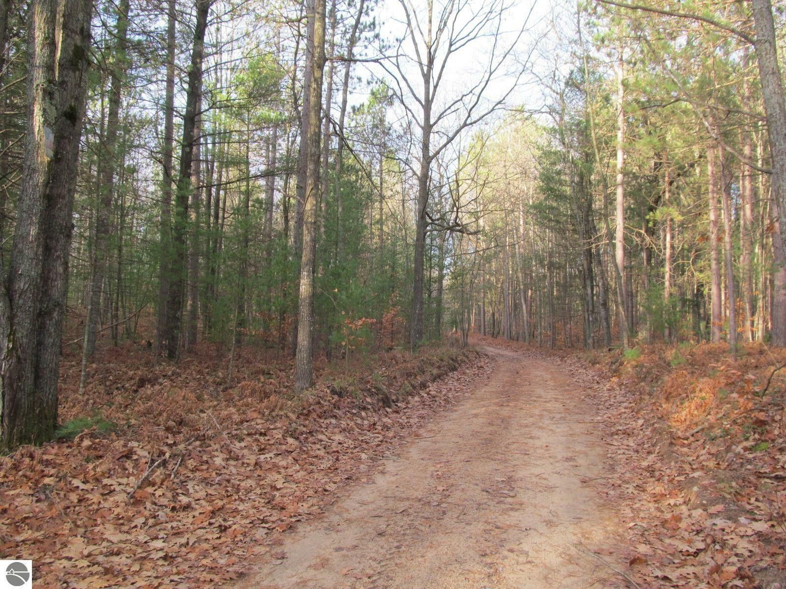 20 acres in Missaukee County, Michigan