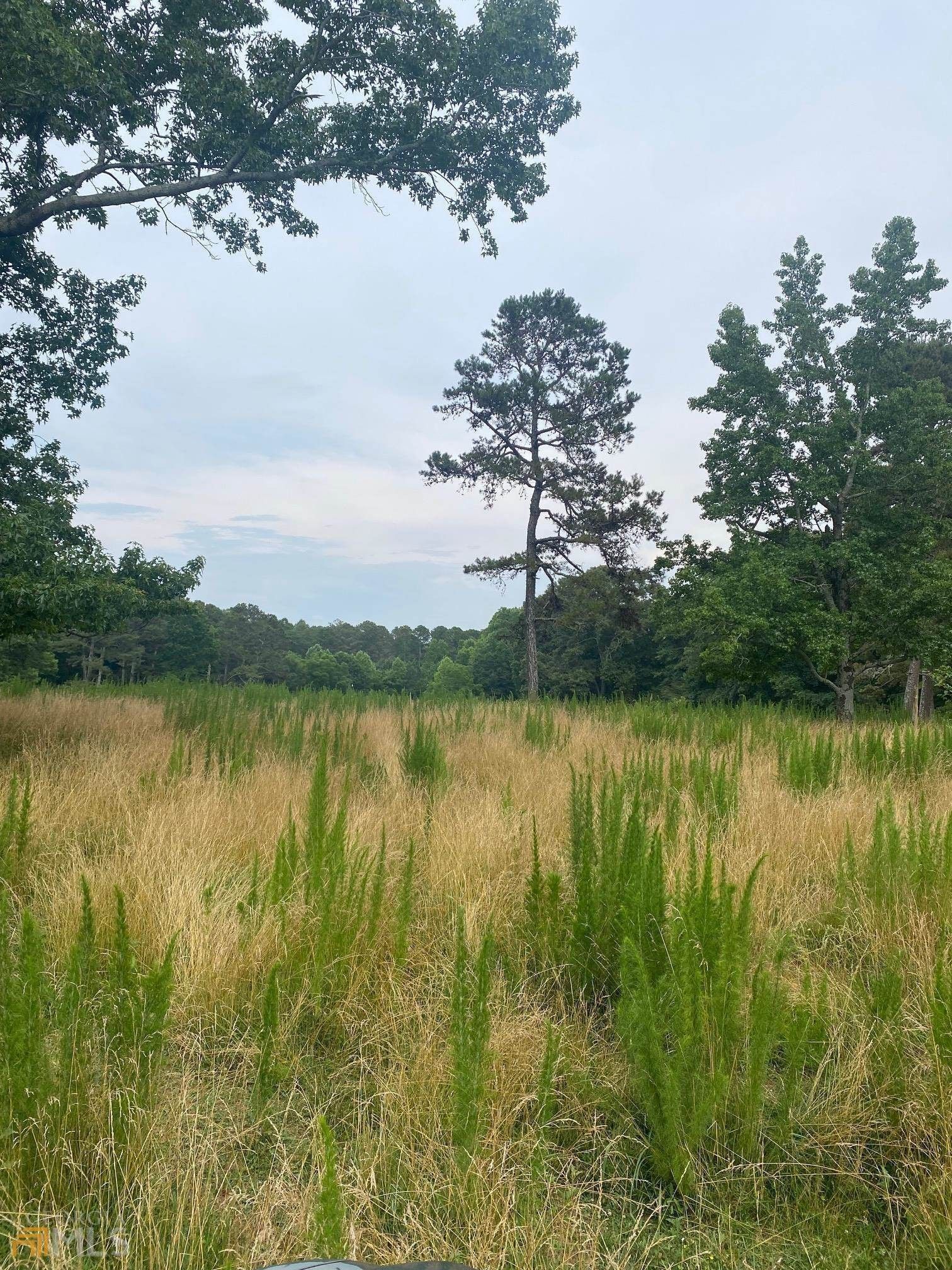 15.01 acres in Forsyth County,