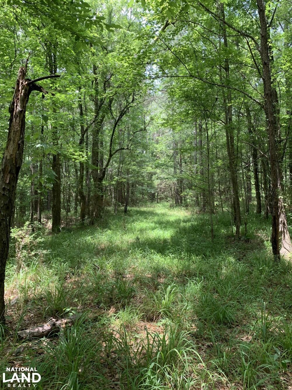 60 acres in Wilkinson County, Mississippi