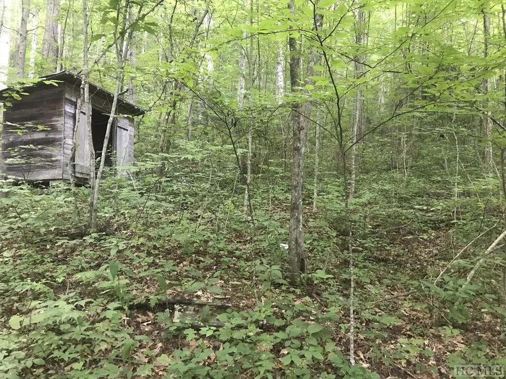 46 acres in Jackson County, North Carolina