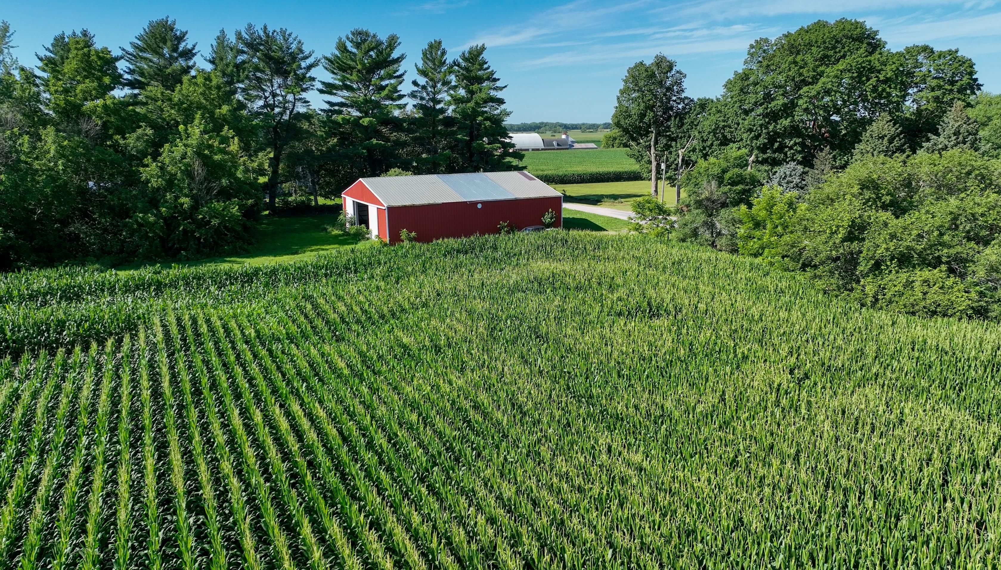 146.26 acres in Black Hawk County, Iowa