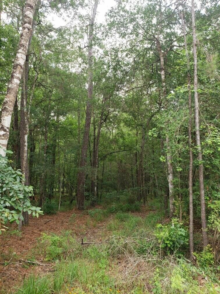 250 PR 5172, Buna, TX 77612 MLS TXAR