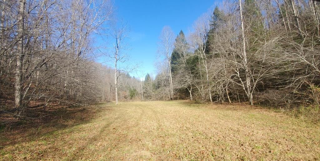 217 acres in Lawrence County, Kentucky