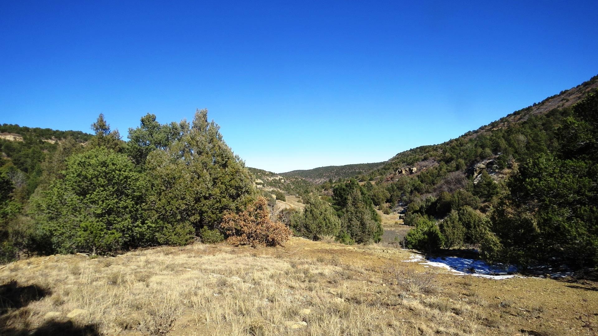 40 acres in Las Animas County, Colorado
