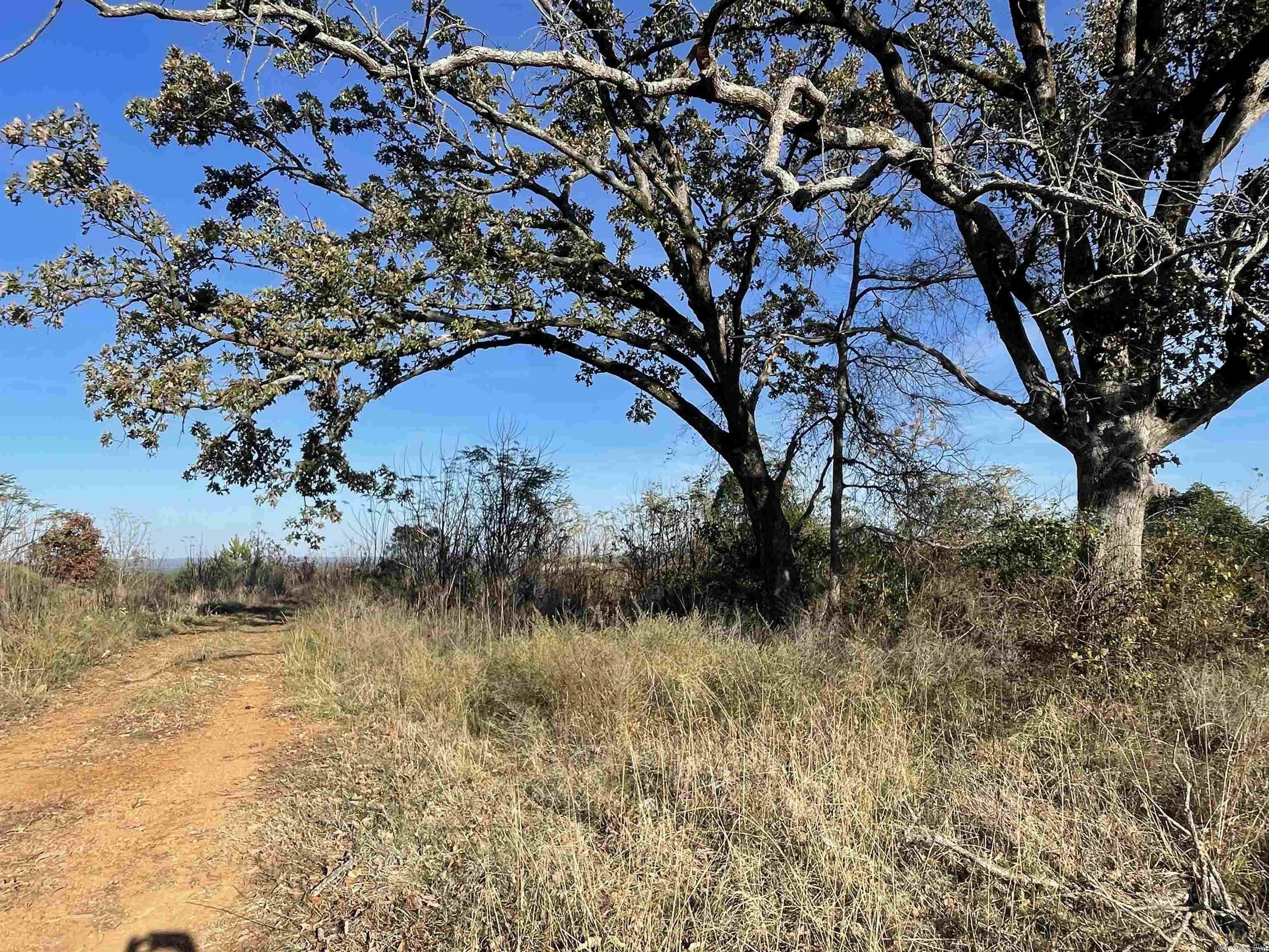 100 acres in Howard County, Arkansas