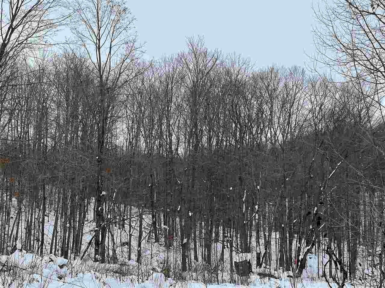 60 acres in Emmet County, Michigan