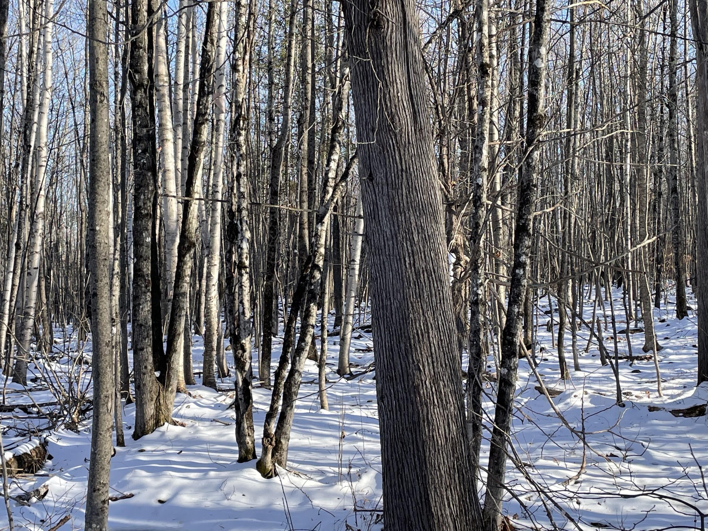 78 acres in Franklin County, Maine