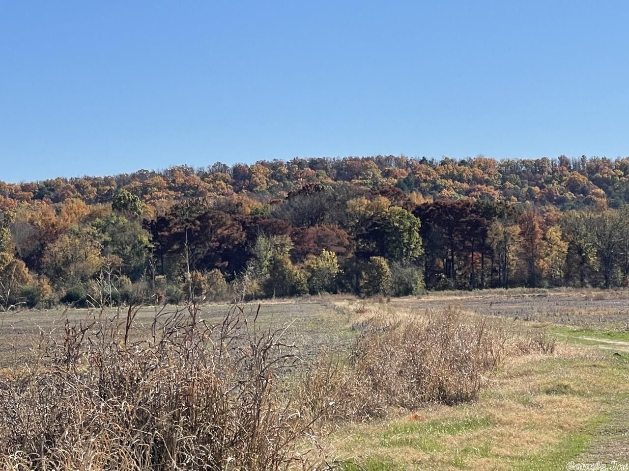 40 acres in Faulkner County, Arkansas