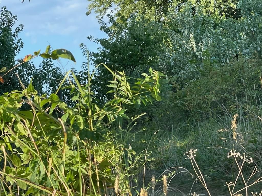 10 acres in Bradley County, Arkansas