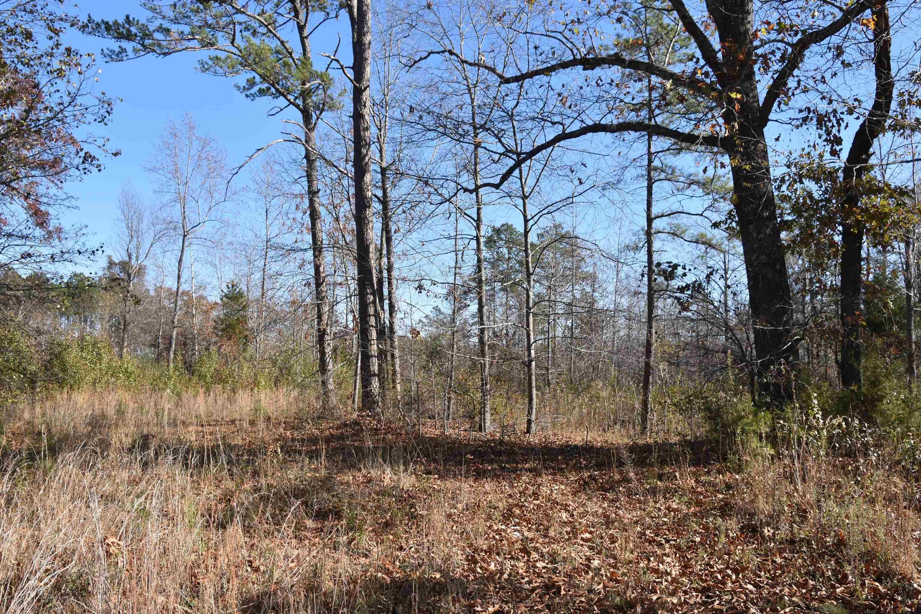 40 acres in Henderson County, Tennessee