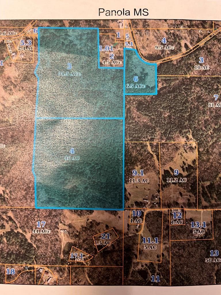 81 acres in Panola County, Mississippi