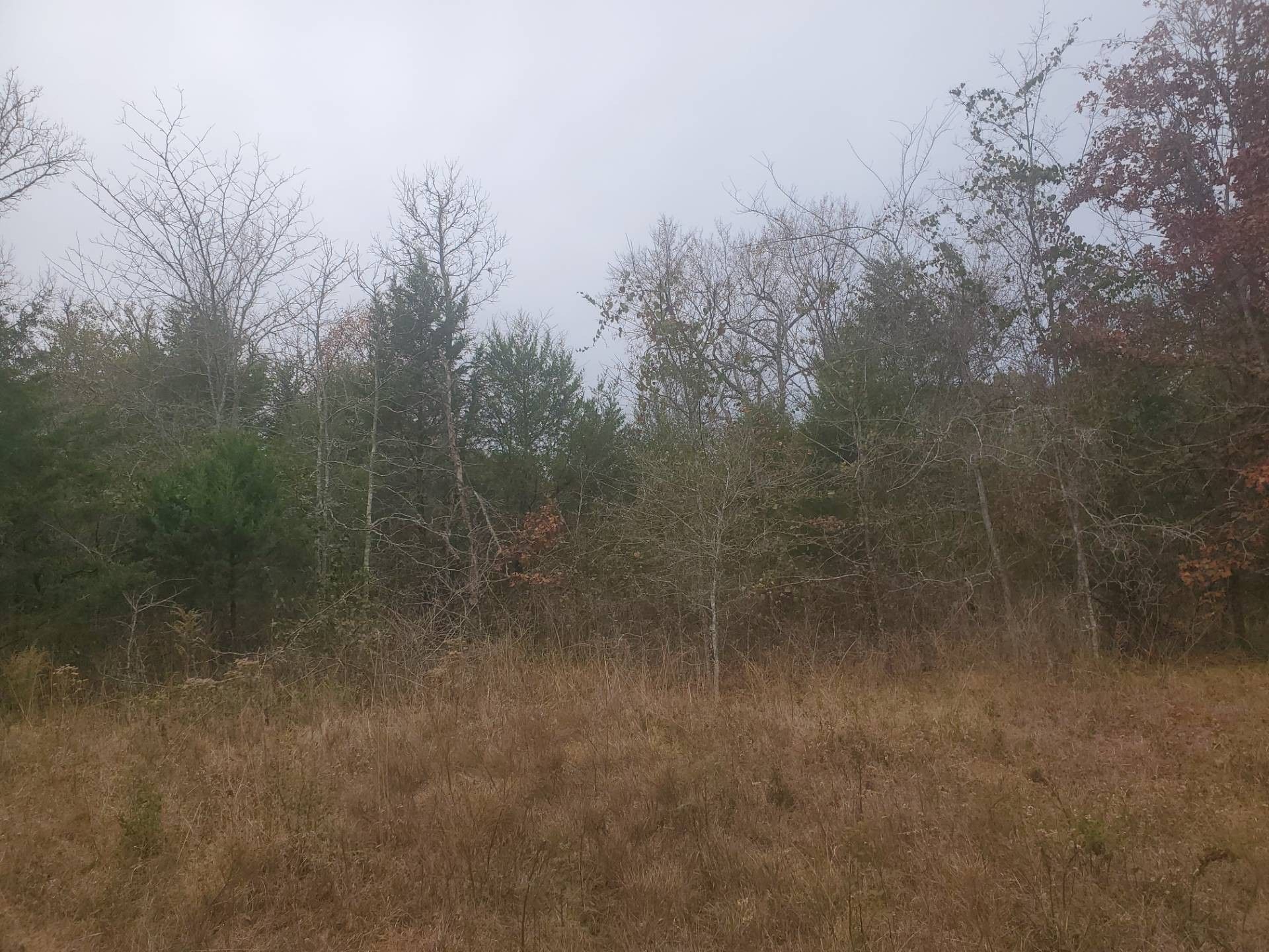 7.51 acres in Pushmataha County, Oklahoma