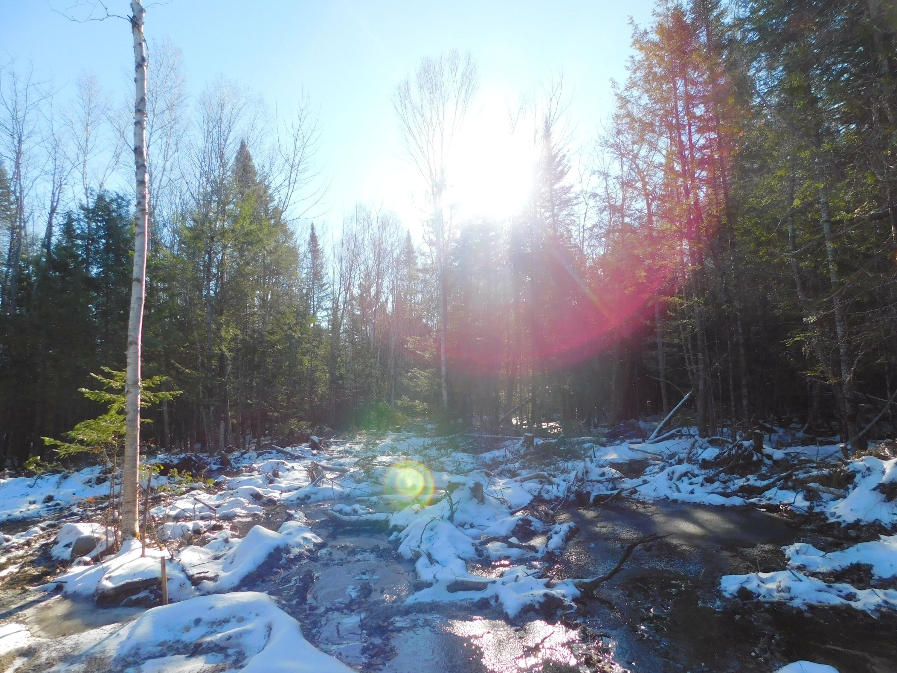 15.4 acres in Penobscot County, Maine
