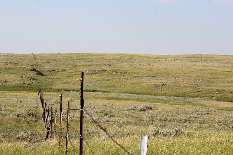 80 acres in Harding County, South Dakota